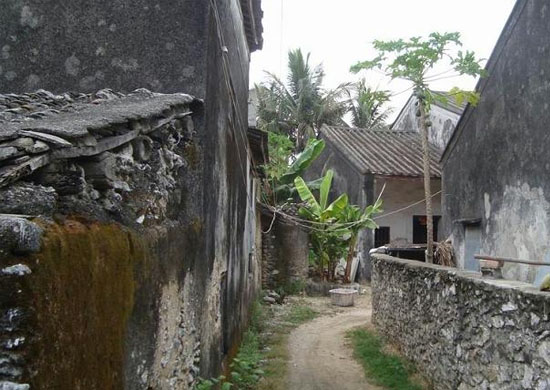 ���ލu��ɺ��ʯ���V������������