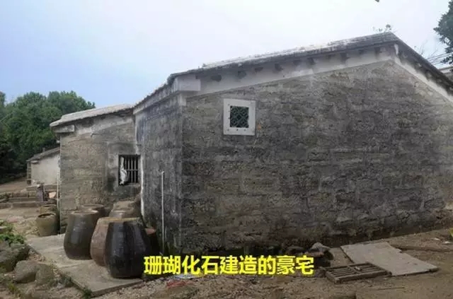 ���ލu��ɺ��ʯ���V������������