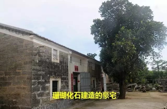 ���ލu��ɺ��ʯ���V������������