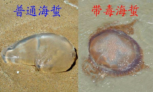 �������Σ��V������������