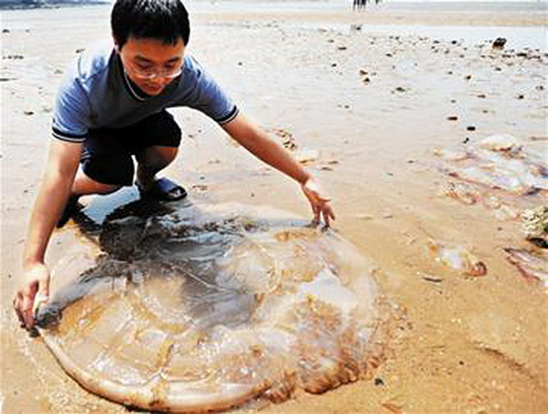 �����������V������������