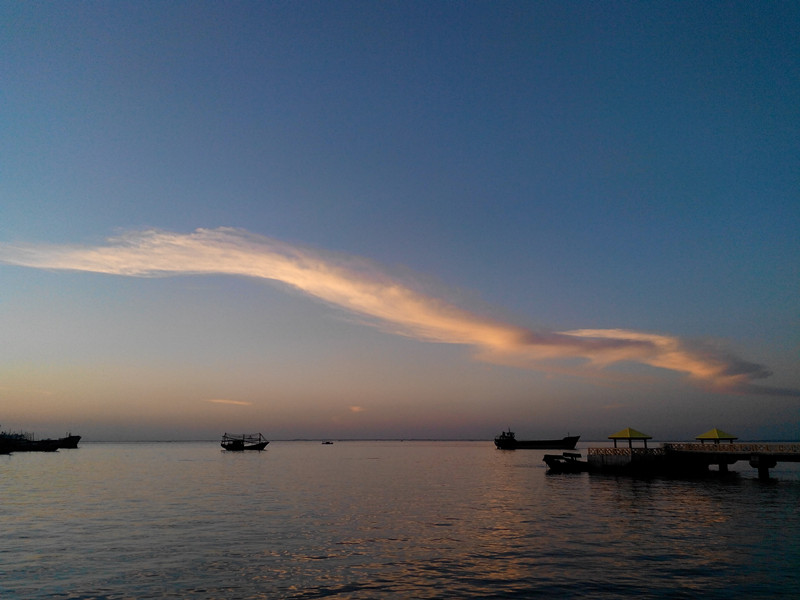 �������V������������