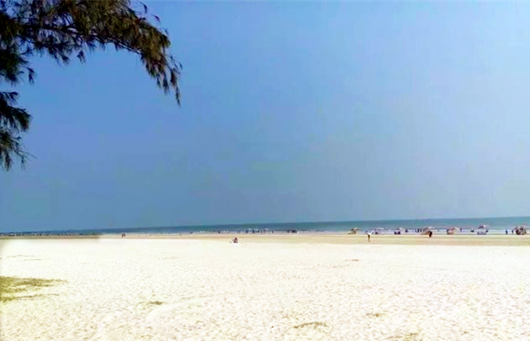 ���������������y�����V������������