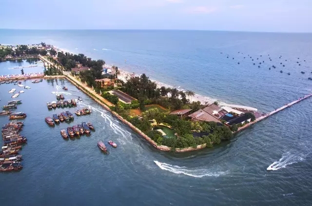 �����������V������������