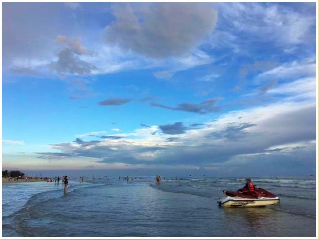 �����������������V������������