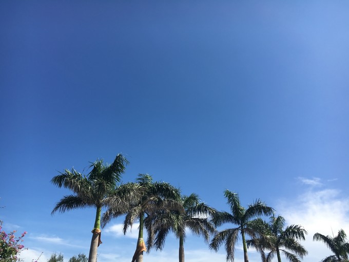 �����������y�����V������������