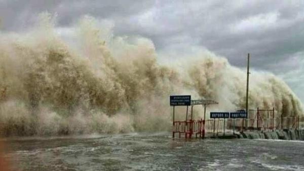 �����������V������������