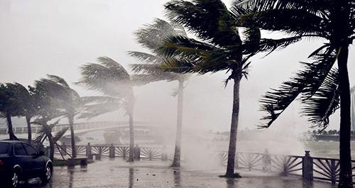 �����������V������������