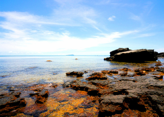 ���ލu�������V������������