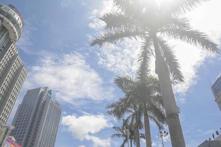 �������V������������