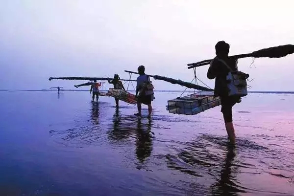 �������s�����V������������