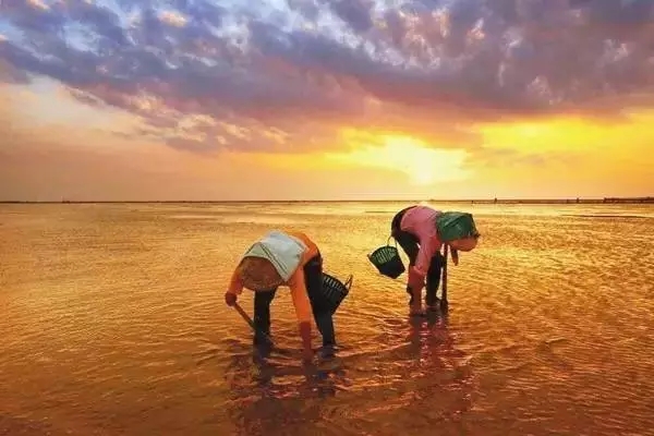 �������s�����V������������