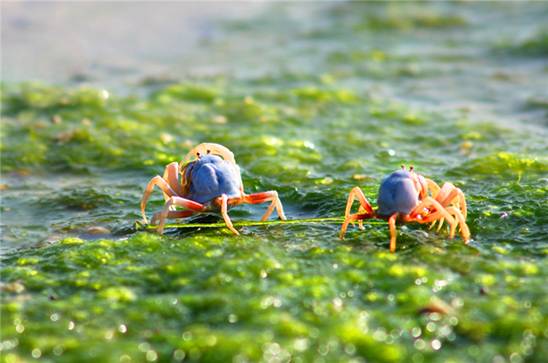 �������s�����V������������