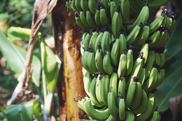 �������������ލu���Σ��V������������