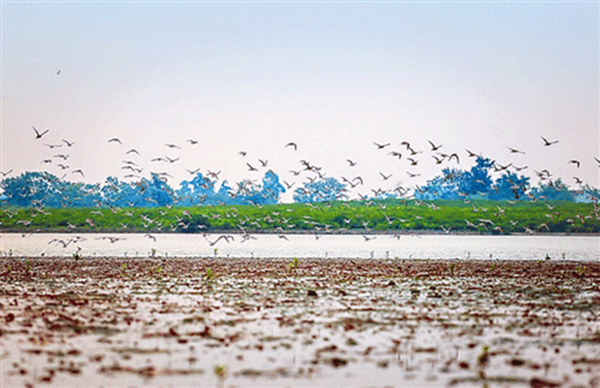 ���������Ǎu���V������������