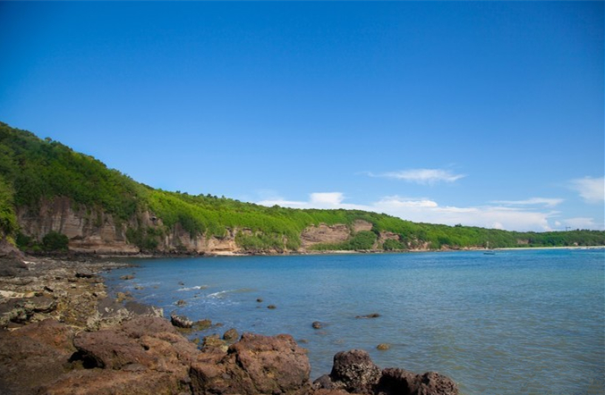 ���ލu�������V������������