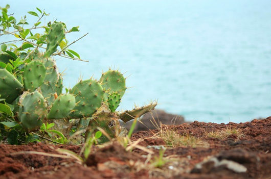 ���ލu�������V������������