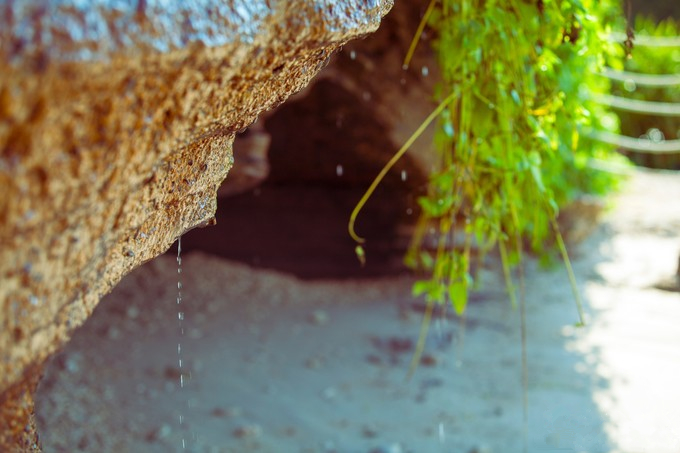 ���ލu�������V������������