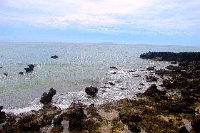 ���ލu�������V������������