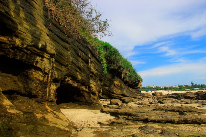 ���ލu�������V������������