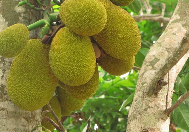 ���ލu�����}�����V������������