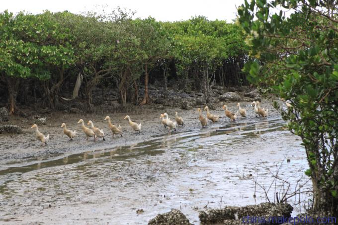 ���������������V������������