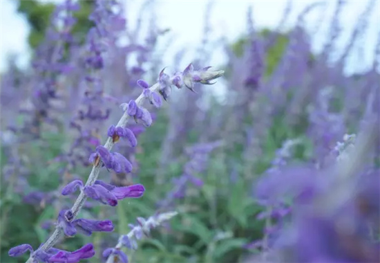 �������h(hu��n)�����V������������