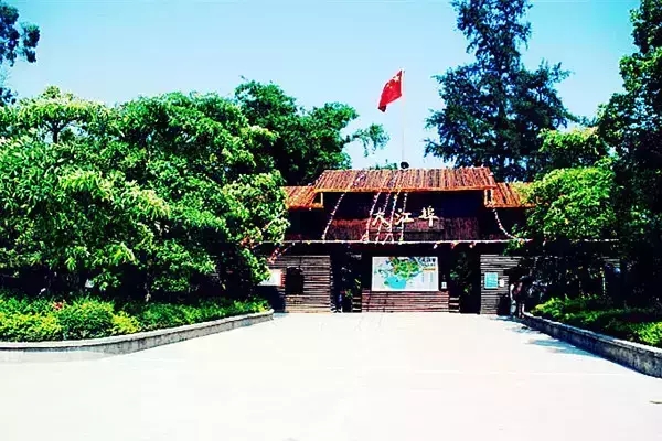 �������󽭲����V������������