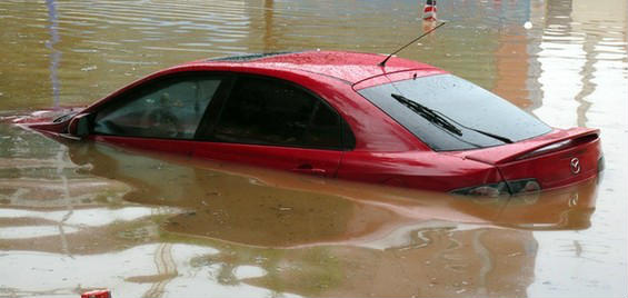 �������_(t��i)�L(f��ng)���V������������