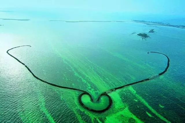 �u�Z�����ލu���V������������