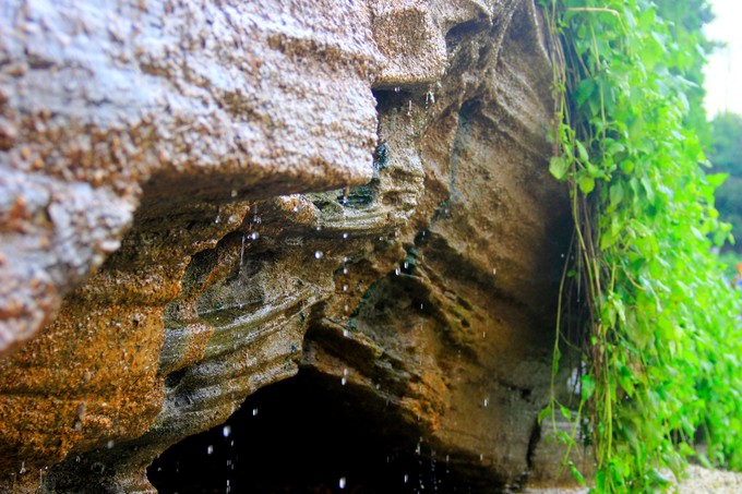 ���������ލu�������V������������