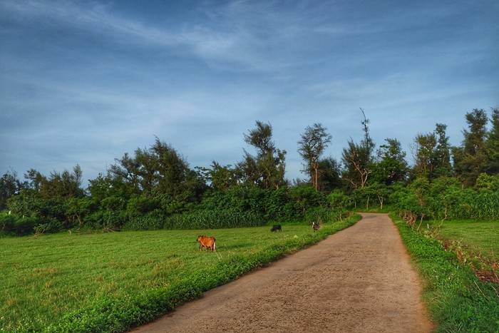 ���������ލu���Σ��V������������