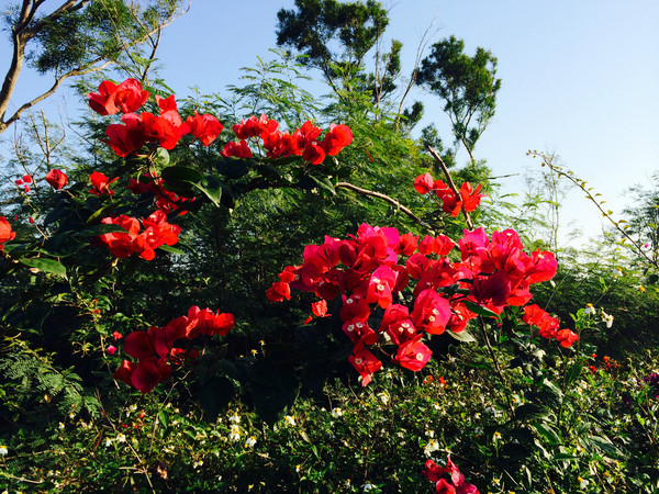 ���ލu���V������������