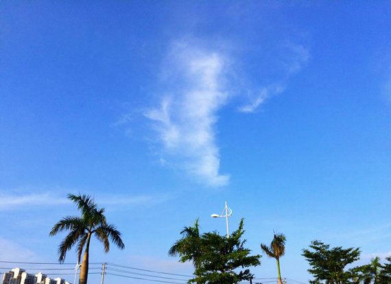 �������V������������