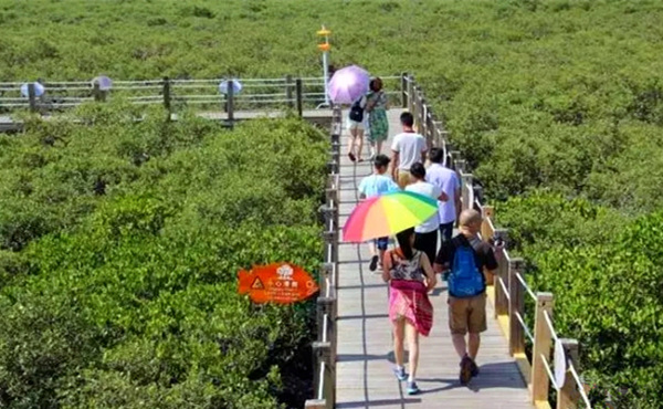 ������������V������������