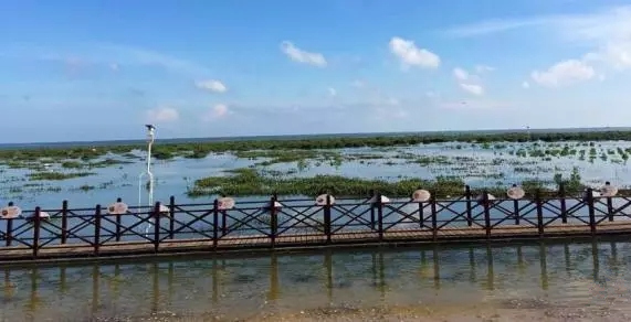 ������������V������������