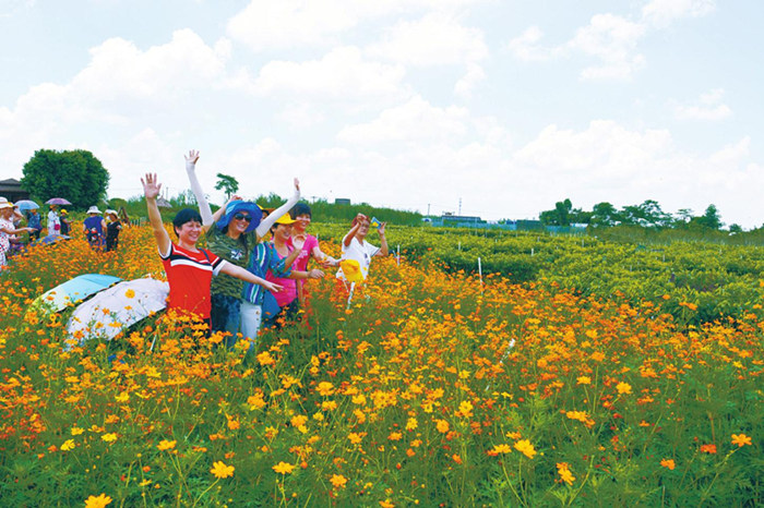 �����������������V������������