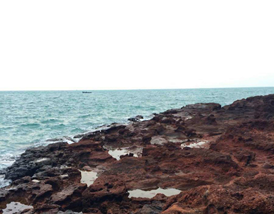 ���ލu���ι������V������������