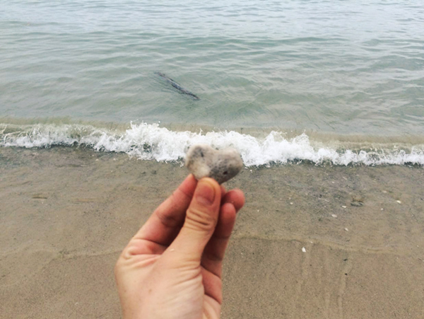 ���ލu���ι������V������������