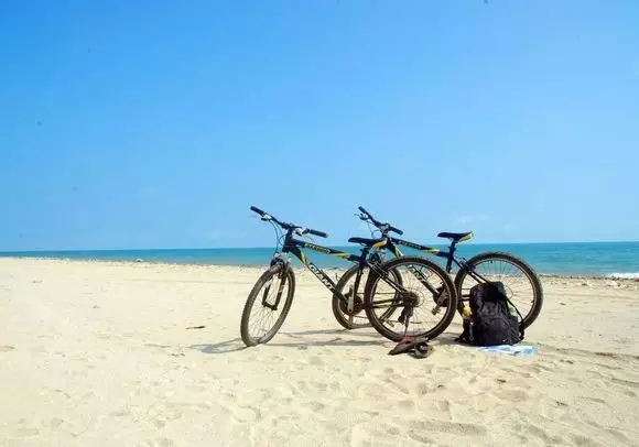 ���ލu���ι������V������������