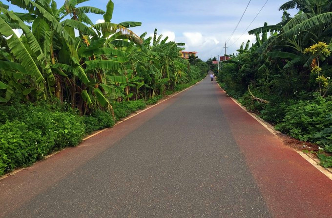 ���ލu�������V������������