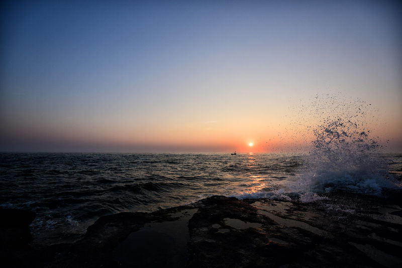 �V�����������������ލu