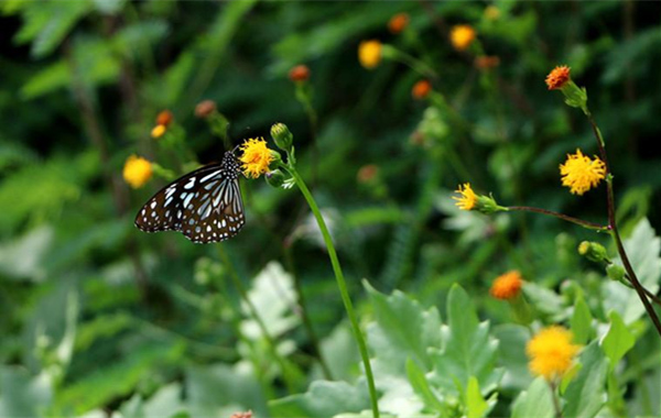 �V�����������������ލu����