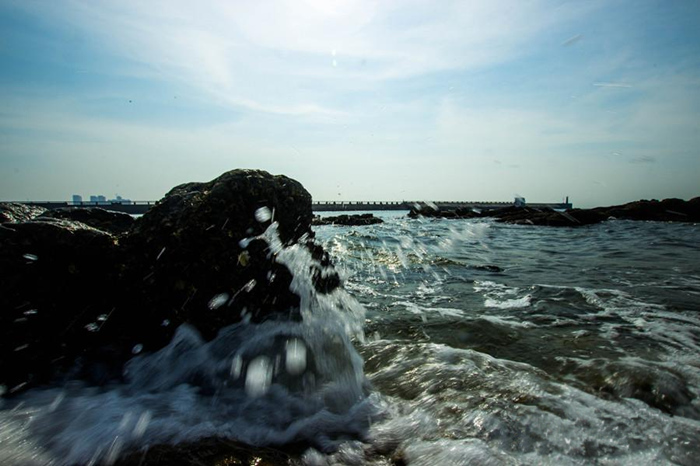 �V����������������������