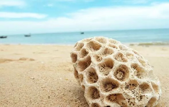 �V�����������������ލu����