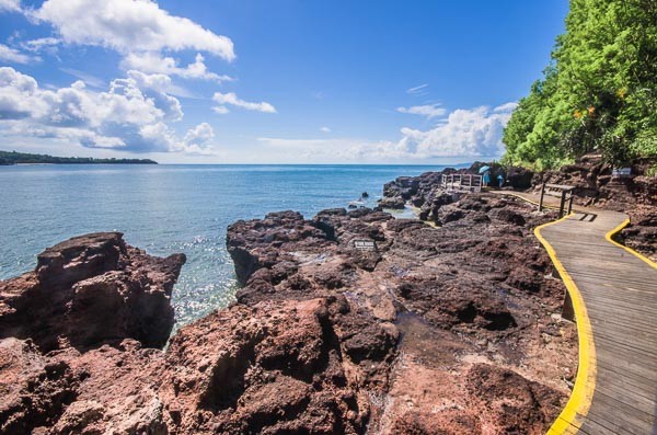 �V�����������������ލu����