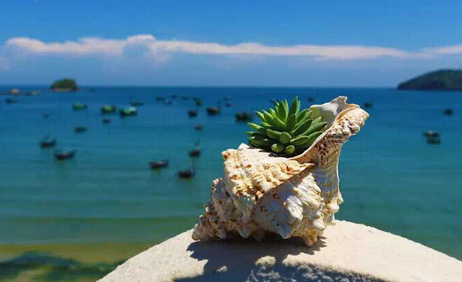 �V�����������磬���ލu����