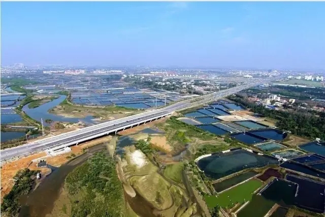 �V�������������������������T��