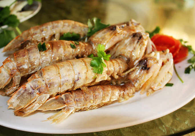 �V�����������������ލu����