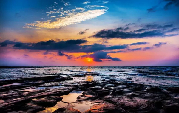 �V�����������������ލu���ι���